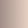 Matt Bronze